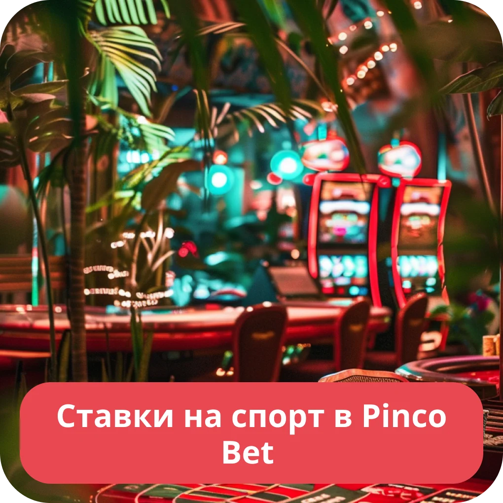 Пинко ставки на сайте Пинко БК